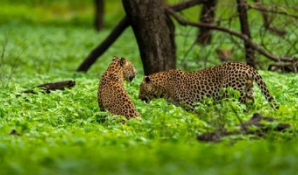IMAGE_1653479735