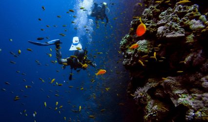Scuba Diving – Pondicherry