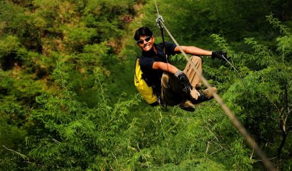 fly-fast-over-the-jungle